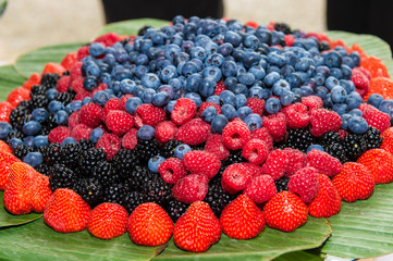 fresh harvest of seasonal berries