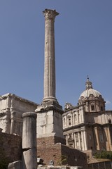 Fototapeta na wymiar Forum Romanum. Kościół św Łukasza i św Martina