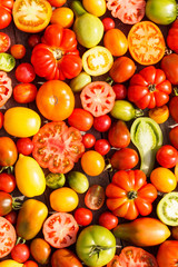 colorful tomatoes