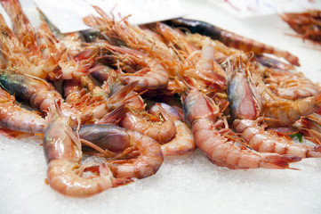 Shrimps in ice