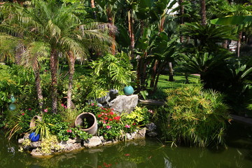 Jardin exotique