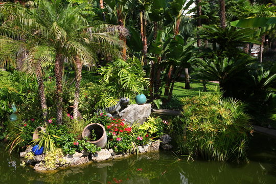 Jardin exotique