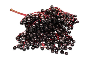 Elderberry
