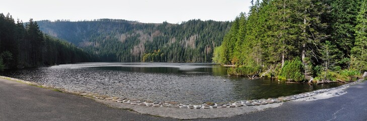 Cerne jezero lake in Sumava near germany border