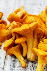 Chanterelle - Fresh chanterelle mushrooms on a table