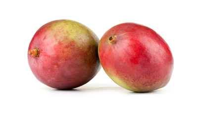 Mango fruit