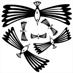 birds flying vector isolated on white background