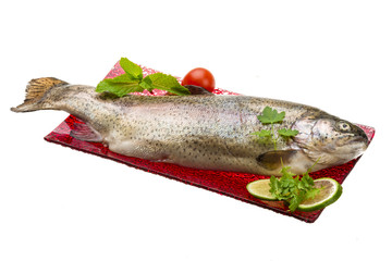 Fresh raw rainbow trout