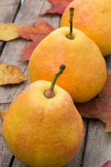 Pear autumn harvest ripe sweet and fallen leaves