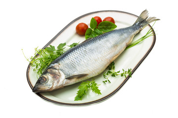 Marinated herring with herbs