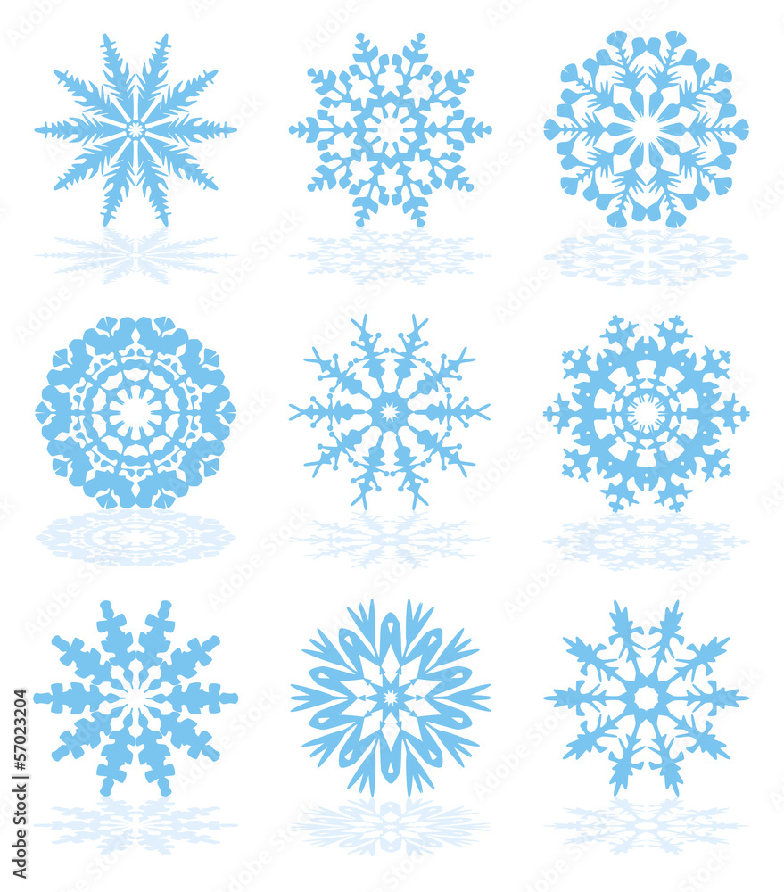 Poster vector collection of snowflake icons