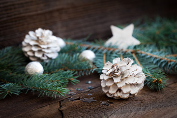 weisser Tannezapfen und Tanne