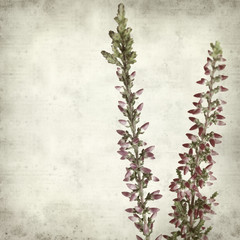 textured old paper background