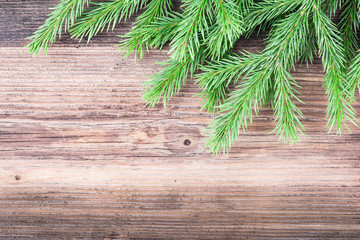 Fir tree branch on wood background