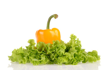 Yellow pepper and salad leaf  isolated on white background