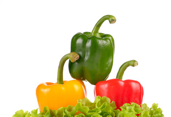 Yellow Green and Red pepperson salad leaf  isolated on white bac
