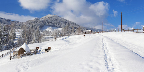Sunny panorama of the mountain village