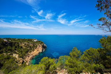 Fototapeta na wymiar Cala Vedella Vadella wyspa Ibiza Morze Śródziemne