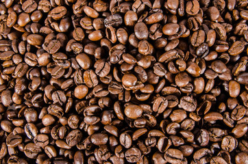 Freshly roasted coffee beans