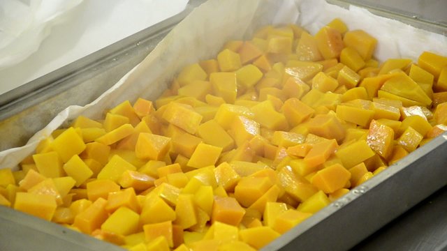 Cucurbita Calabaza Pumpkin Zucca