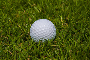 a white golf ball on grass