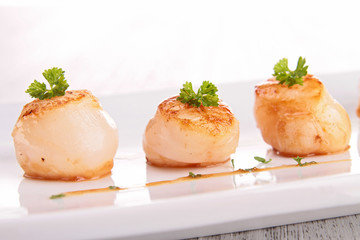 scallop