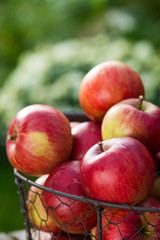 Rote Äpfel