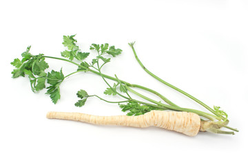 Fresh parsley with root and leaf on white