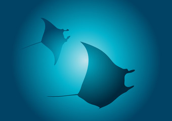 Mantarochen © frilled_dragon