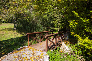 Fototapeta na wymiar Wooden bridge in the autumn park