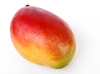 red and yellow,ripe mango fruit