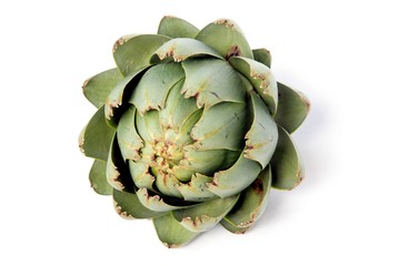 artichoke