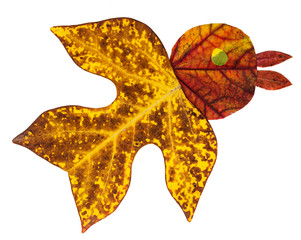 Obraz premium bird made from the autumn leaves
