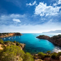 Raamstickers Ibiza Es Porroig ook Port Roig uitzicht op Balearic © lunamarina