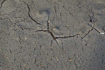 Old cracked asphalt.