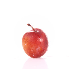 Plum on white background