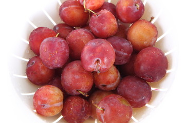 Plums on white background