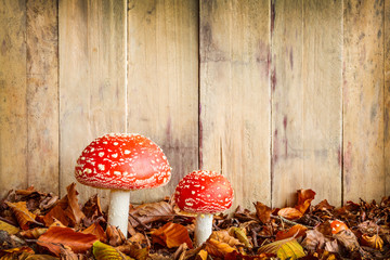 Fly agaric mushrooms against an old wooden background