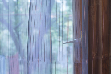 Transparent curtain on window