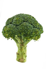 Broccoli isolated on white background