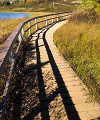 Obraz premium path along the lake