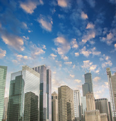 Fototapeta premium Beautiful skyline of Chicago Buildings and Skyscrapers, Illinois
