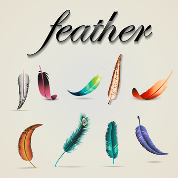Feather Icons Set - Isolated On Gray Background