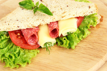 Tasty sandwich with salami sausage and vegetables