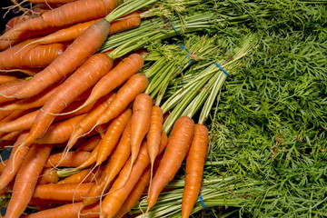 Fresh orange carrots piled in a bundle