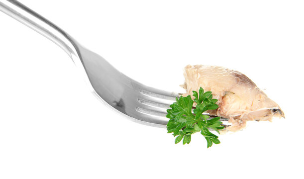 Fork with  piece of canned comber, isolated on white
