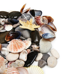 Close up of sea stones and shells