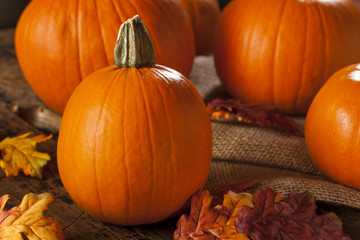 Organic Orange Pie Pumpkins for Halloween