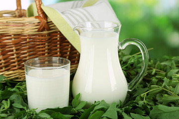 Pitcher and glass of milk on grass on nature background