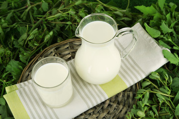 Pitcher and glass of milk on napkin on wicker tray on grass